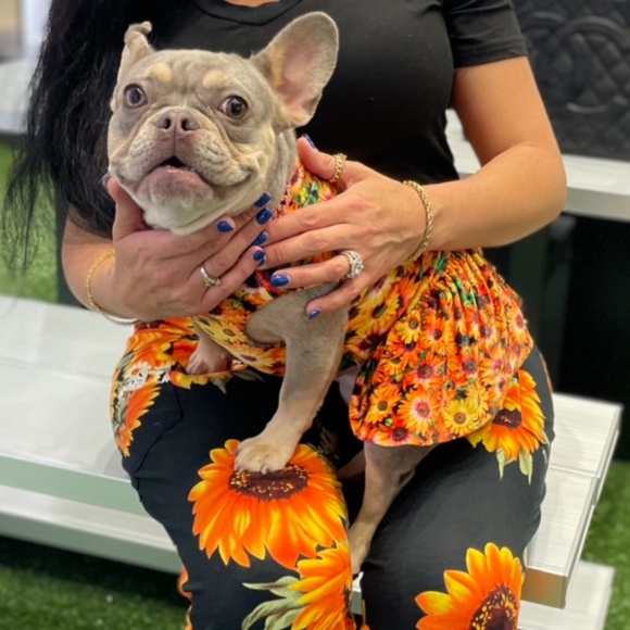 Zealous in all domains - Picture 3 of 16